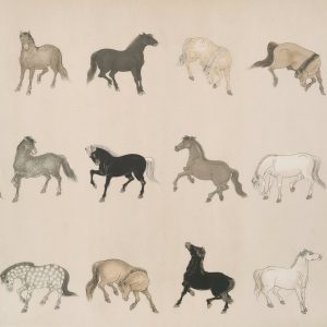 Advanced Nutrition Planning for Breeding Animals